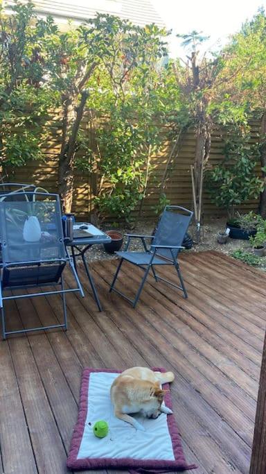 Apartment 1 Piece Principale Avec Terrasse Privee Proche De Toutes Commodites *
